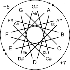 Harmony Wheel Flutetree Org