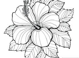 These spring coloring pages are sure to get the kids in the mood for warmer weather. Know More About Hawaiian Culture Through Coloring Pages Whitesbelfast Com