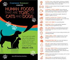 Pin By Christina Lea On Dog Health In 2020 Dog Health Human Food Alcohol