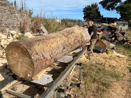 The labrador is one of the most popular breeds of dog in the united kingdom and the united states. Bandsaw Mill Advice Trakmet Or Other Milling Forum Arbtalk The Social Network For Arborists