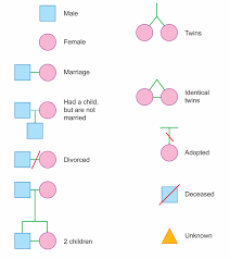 expressing dominant and recessive ck 12 foundation