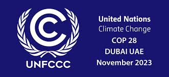 2023 UN Climate Change Conference (UNFCCC COP 28) | Statistics for Development Division