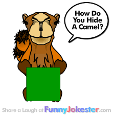 Camel, how does a camel hide in the desert? Camel Puns
