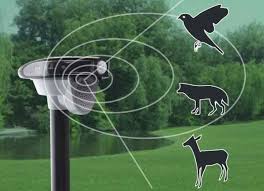 See what i think about the eliminator solar energy animal repeller in this review. The Best Solar Animal Repellers New Models