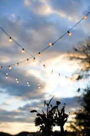 Nashville Elopement By Cedarwood Weddings Photos Sunset Party Boho Garden Party Backyard Wedding