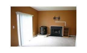 Differences between a pellet stove and a pellet stove insert. Fireplace Pellet Stove Dilemma Design Idea Help Needed