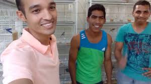 Conhecendo Sr William e Igor Criadores de Canários de Cor
