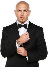 Pitbull Armando Christian Perez Pitbull Rapper Pitbulls Singer