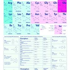 Periodic Chart Amino Acids 6nq80rx0dznw