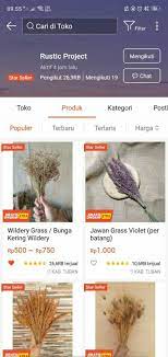 Pin Di House