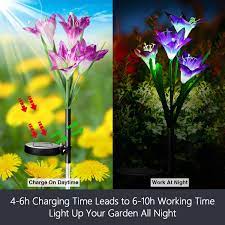 This is 3 beautiful black flowers. Buy Solar Lights Outdoor Garden Decorative Flowers 6 Pack Wdtpro Waterproof Solar Outdoor Lights With 24 Lily Flowers Multi Color Changing Led Solar Powered Light For Garden Pathway Patio Online In Vietnam B07qps38tc