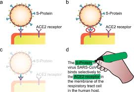 Computer managed instructions / cmi. Five Strategies For Optimizing Instructional Materials Instructor And Learner Managed Cognitive Load Springerlink