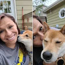 People who love dogs