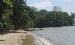 Taman rusa kemang pratama kota bks, jawa barat. Taman Rusa Kemang Pratama Kota Bks Jawa Barat 5 Toko Bayi Di Bekasi Enjoy Bekasi Belalang Bakar