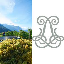 Located along the rhine river, vaduz is the national capital of liechtenstein. Hofkellerei Des Fursten Von Liechtenstein Vaduz Home Facebook