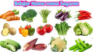 Check spelling or type a new query. Belajar Nama Sayuran Bahasa Inggris L Jenis Jenis Sayuran L Sayur Mayur L Learn Vegetables Youtube
