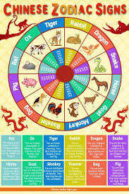 Image Result For Chinese Zodiac Signs Poster Chinese Zodiac Signs Chinese Zodiac Chinese Zodiac Signs Compatibility