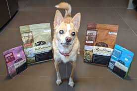 New Canadian Made Dog Food For Our Girls Now Too See Which Kind They Like Make Dog Food Dog Food Brands Large Dog Breeds