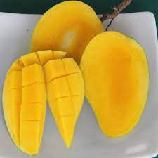Cara kenal jenis jenis buah mangga yang popular dan laris di malaysia some bullet for your head for more information and source, see on this link : Pokok Mangga Chokanan Malaysia Online Plant Nursery