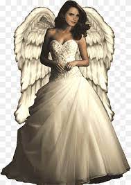 Fleur delacour, ginny weasley, harry potter, hermione granger, luna lovegood, neville longbottom, and nymphadora tonks have finally had enough. Hermine Granger Draco Malfoy Harry Potter Und Der Steinpilz Des Philosophensteiner Fleur Delacour Engel Engel Brautkleider Brautkleid Kleid Png Pngwing
