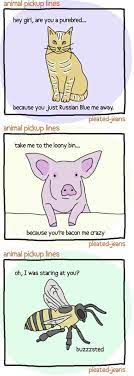 Animal Pickup Lines Luvze