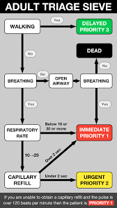 Major Incident Management Em3 East Midlands Emergency Medicine Educational Media