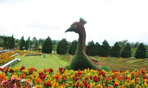 Pada bunga atau kembang juga ada yang namanya benang. Rekomendasi Taman Bunga Di Indonesia Yang Cantik Dan Instagramable Banget Cermati Com