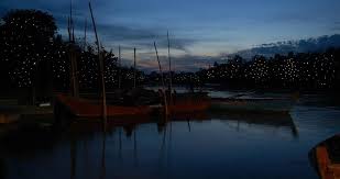 But at the same time, they're too predictable — most of us. Watching Kuala Selangor Fireflies Attractions Things To Do In Malaysia