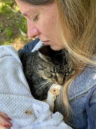 I got this today, love celeste!