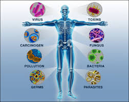 1500 mg of omega 6 fatty acids is required daily. Natural Treatment Of Autoimmune Disorder Herbal Remedies Causes Symptoms