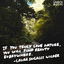 Caption Nature Beauty Quotes Master Trick