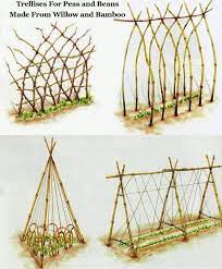 Les Differents Types De Treillis A Construire Pour Les Rempants Je Pense Tenter Le Tipi Diy Trellis Building A Trellis Vegetable Garden Design