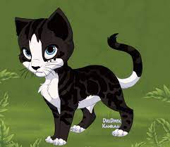 Crowstar Of Thunderclan Warriors Fanon Wiki Fandom