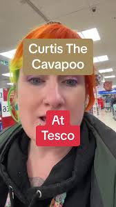 New In, Curtis The Cavapoo in Tesco #tesco #tesconewin  #tescocurtisthecavapoo #curtisthecavapootesco #curtisthecavapoo #tescohaul  #tescohome #tescohomeware #tescohomedecor #tescochristmas ...