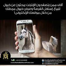 آلاف ممن يتصفحون الإنترنت يبحثون عن خيول للبيع إستغل الفرصة وأعرض خيل مربطك فى الويبسايت الخاص بك نكون معك يدا بيد في جميع ads marketing personalized items