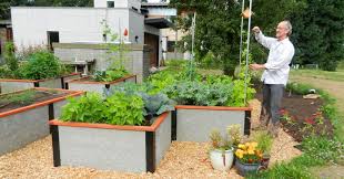 Honestly, raised garden beds are one of the best things you can invest your time in. Raised Garden Bed Kit Non Toxic Durable Greenbed