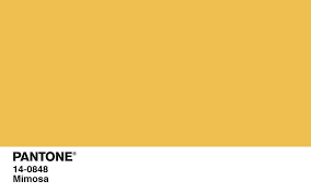 2009 Pantone Color Of The Year Google Search Pantone Pantone Color Color Of The Year