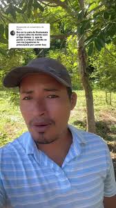 Respuesta a @NDus. Saludos 🫂 #arabe