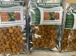 Image result for Ricinodendron