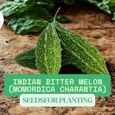 Image result for Momordica repens