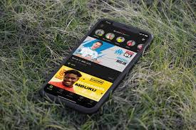 Ligue 1 is the top level french professional football league. 7kkc0ostbl2w4m