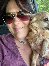 Michigan Lost And Found Pet Network