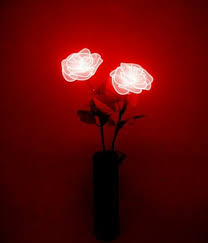 RÃ©sultat de recherche d'images pour 