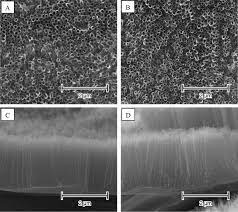 Join facebook to connect with krzysztof radzimski and others you may know. Laser Assisted Modification Of Titanium Dioxide Nanotubes In A Tilted Mode As Surface Modification And Patterning Strategy Sciencedirect