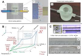 Cvd is classified by type (protan, deutan or tritan) as well as the extent which can be mild, moderate or strong. Towards Digital Manufacturing Of Smart Multimaterial Fibers Nanoscale Research Letters Full Text