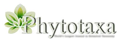 Image result for Tessmannia anomala