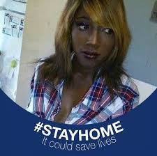 Are poodles chewing your personal items?