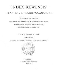 Image result for Argyrolobium vaginiferum