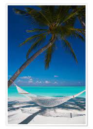 Shop tropical beach posters and art prints created by independent artists from around the globe. Hammock On A Tropical Beach Posters And Prints Posterlounge Com