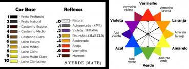 A estrela de oswald consiste na melhor ferramenta de orientação de cor tanto para neutralizações quanto para colocação de nuances. Platinum Loucasporcabelo